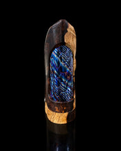 Load image into Gallery viewer, stingray evocustom tube for stingray mod