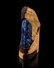 Load image into Gallery viewer, stingray evocustom tube for stingray mod